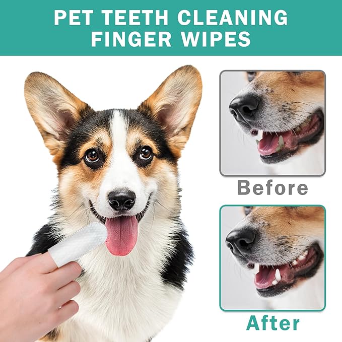 Dog Teeth Dental Finger Wipes for Dogs & Cats No-Rinse Dog Finger Toothbrush Dog Plaque & Tartar Prevention with Brushing Beads Dog Breath Freshene 50pcs-PawvioPets