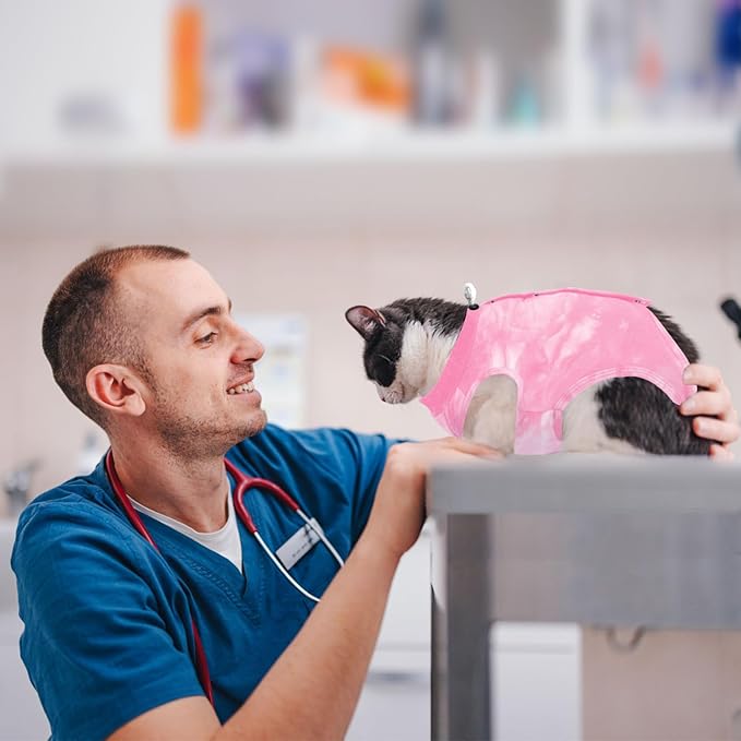 Cat Recovery Suit for Male and Female Surgical Post Surgery Soft Cone Onesie Tie Dye Cats Shirt Clothes Neuter Licking Protective Diapers Outfit Cover Kitten Spay Collar Alternative(Pink, M)-PawvioPets