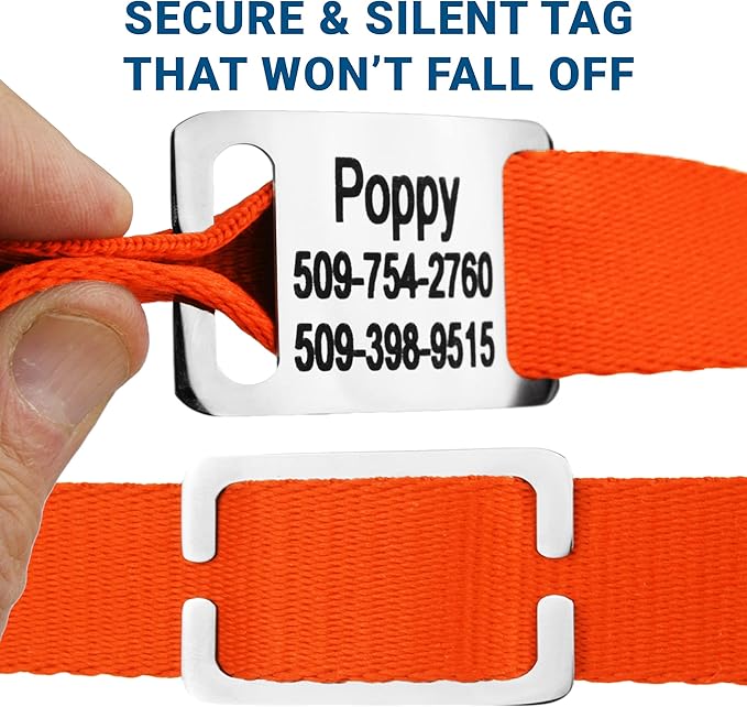 GoTags Personalized Dog Collar with Nameplate, Adjustable Dog Collar with Custom Engraved Slide On Pet ID Tag in Stainless Steel, Silent, No Noise Dog Tag for Large Medium and Small (Orange, X-Small)-PawvioPets
