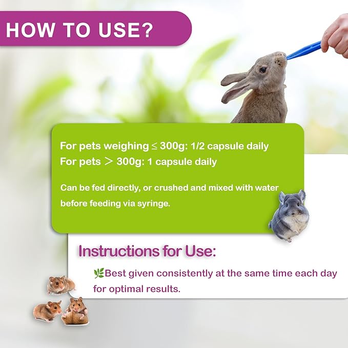 Digestive Support for Rabbits - High Fiber Probiotics, GI Stasis Prevention, Promote Gut Motility, Critical Care Herbivore Supplement, Rabbit & Guinea Pig Treats/Food, 36 Capsules-PawvioPets