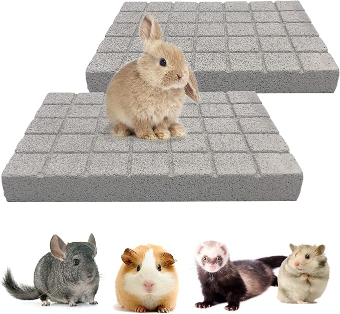 BNOSDM Rabbit Grinding Claw Pads 2Pack Bunny Scratch Foot Pads Natural Hamster Lava Stone for Teeth Grinding White Rabbit Scratching pad Chew Toy for Guinea Pig Ferret Chinchilla Mouse-PawvioPets