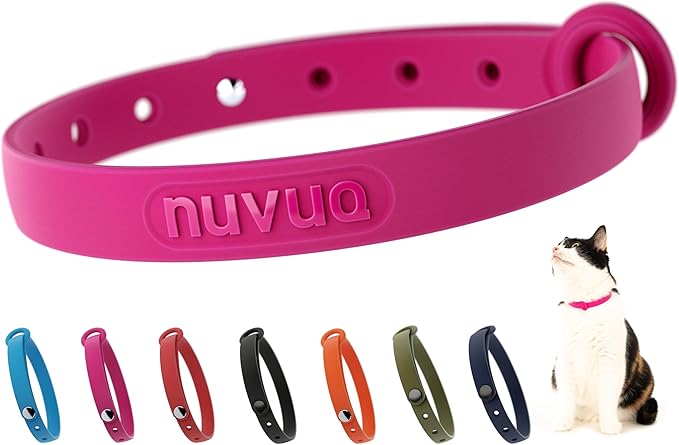 Breakaway Cat Collar - Soft, Comfortable, and Lightweight Safety Buckle Collar with Name Tag Ring for Outdoor Cats and Sensitive Skin Kittens by Nuvuq (6 ⅞" to 10 ¼", Pink)-PawvioPets