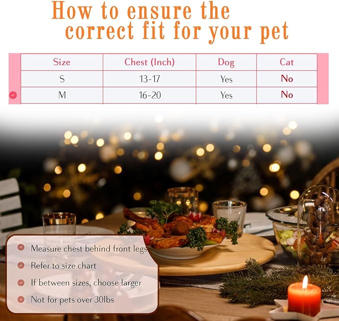 Comfort Fit Dog Harness No Pull with Adjustable Buckles Soft Padded Reflective Choke Step-in Pet Vest with Easy Control Handle for Small Medium Large Dogs & Puppies for Walking Running Training-PawvioPets