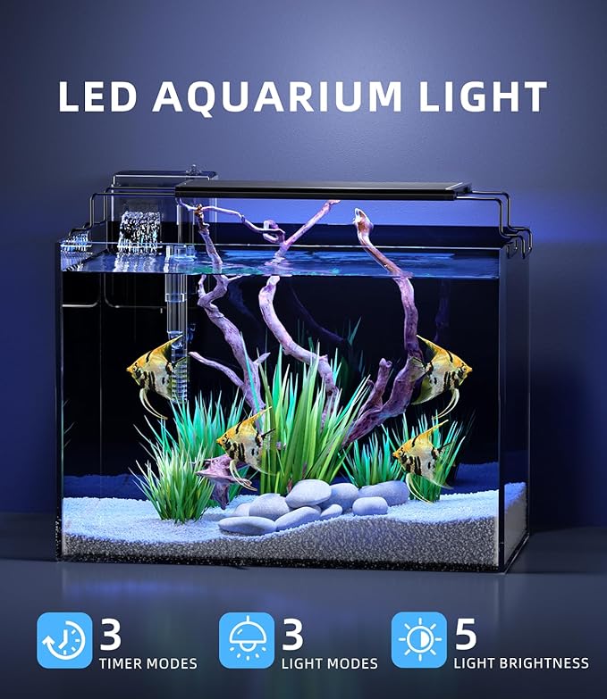 5 Gallon Fish Tank Aquarium Kit with Filter, LED Light with Timer, Siphon Vacuum Cleaner, Lid, Self-Cleaning Glass Rimless Betta Tank-PawvioPets