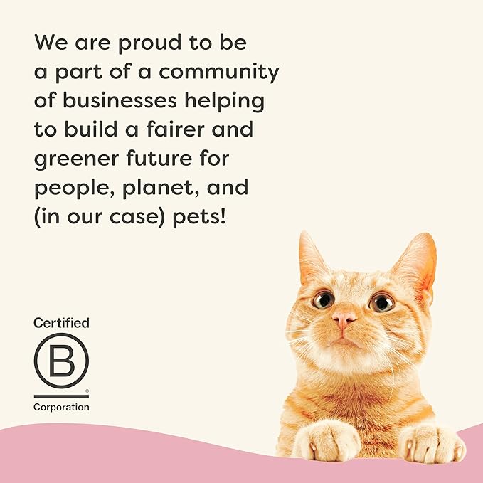 Applaws Vitality Wet Cat Food in Broth, Natural Canned Cat Food, Wet Food for Cats with Added Vitamins and Minerals, Grain and Carrageenan Free, Tuna Fillet & Shrimp in Broth (24 Count, 2.47 oz Cans)-PawvioPets