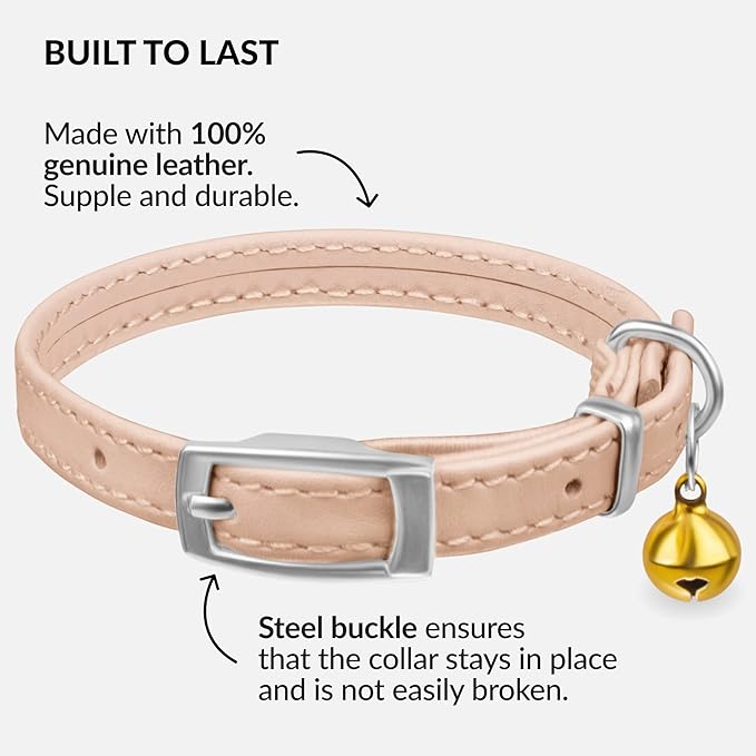 CollarDirect Leather Cat Collar with Bell - Kitten Small and Big Cat Collar for Boy Cats, Girl Cats with Safety Elastic Strap (Neck Fit 6"-7", Beige)-PawvioPets