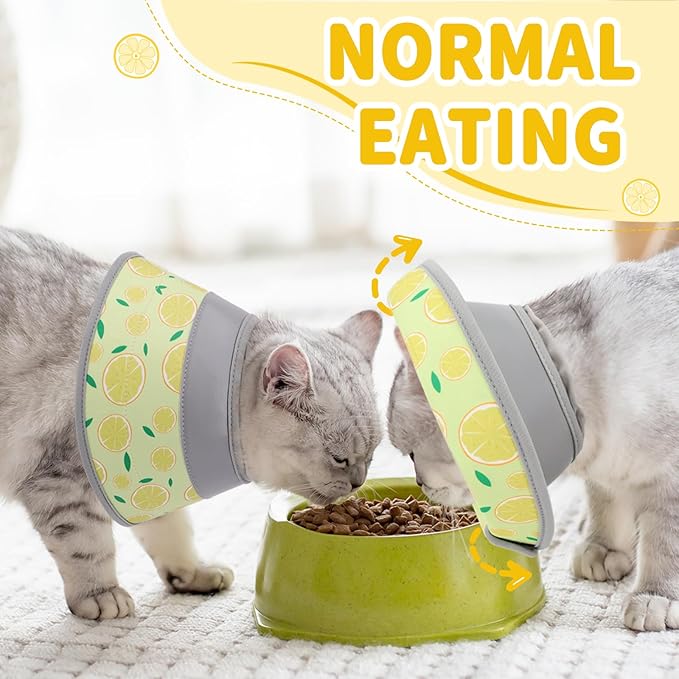 Cat Cone Collar Soft, Comfortable Cat Recovery Collar Pet Cone for Small Large Cats, Lightweight Elizabethan Collar for Cats Kittens After Surgery Prevent from Licking Wounds, Yellow, M-PawvioPets
