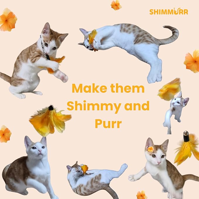 Cat Feather Wand Toy - 38" Retractable Cat Wand Toy with Orange Feather Flower Teaser Refill for Indoor Cats and Interactive Play-PawvioPets