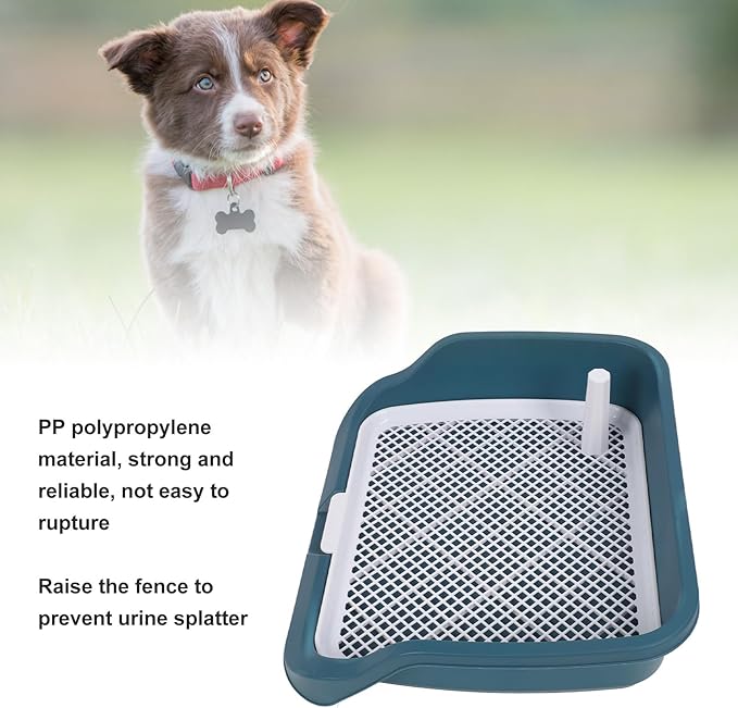 Fabater Dog Potty Toilet Training Tray, Portable Multifunctional Mesh Puppy Training Toilet Pad Holder with Bafflel for Small Dogs Puppies (Peacock Blue)-PawvioPets
