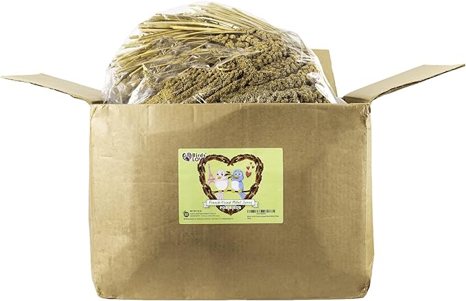 Birds LOVE French Kissed Spray Millet for Birds - Parakeets, Cockatiels, Lovebirds, Finches, Budgies, Canaries, Cockatoos - Natural & Healthy Bird Millet - Parakeet Food & Treats for all Parrots 25lbs-PawvioPets