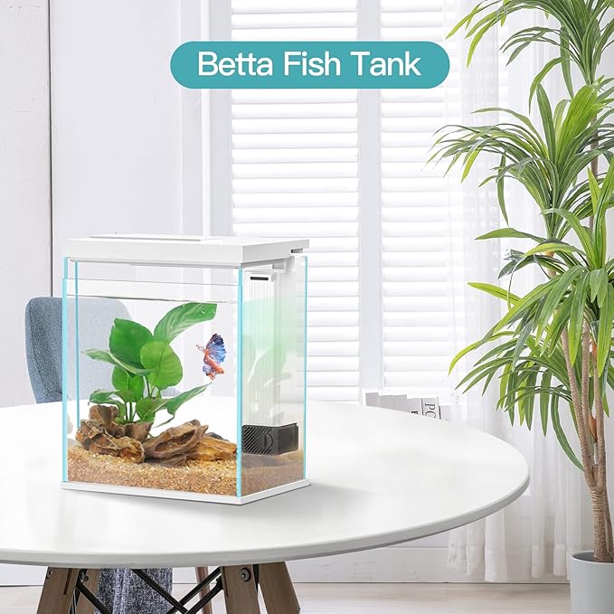 2 Gallon Glass Betta Fish Tank with Heater Filter and Light, Self-Cleaning Small Fish Tank Starter Kits.-PawvioPets