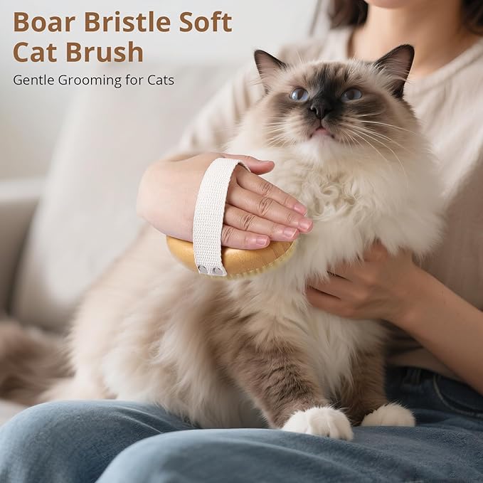 Boar Bristle Cat Brush for Indoor Cats, Cat Hair Brush Gentle Grooming, Reduce Shedding, Soft Hair and Healthy Shine, Bamboo Handheld with Soft Boar Bristles and Band for Short Haired Cats Dogs-PawvioPets