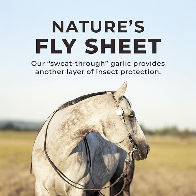 Daily RED Crushed Garlic - Mineral Supplement for Horses (25 LB Garlic)-PawvioPets