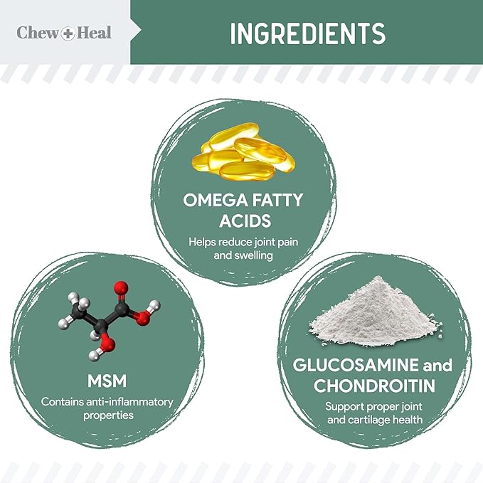 Glucosamine for Dogs Hip and Joint Supplement - 60 Senior Dogs Mobility Soft Chews - Made with Glucosamine, MSM, Chondroitin, Green Lipped Mussels and More - Made in The USA-PawvioPets