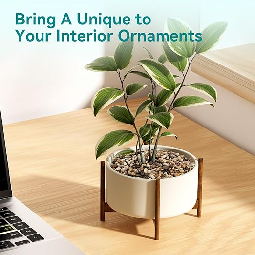 2.5 lbs Pebbles for Indoor Plants, Vase, Succulent, 3/8" Gravel for Plants, Pots Indoor, Bamboo Rocks for Bamboo Plants, Decorative Small River Rock, Highly Polished-PawvioPets