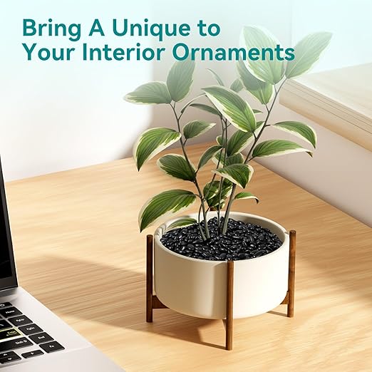 5 lbs Black Pebbles for Indoor Plants, 3/8" Small Rocks for Plants Indoor, Succulent, Bamboo, Vase, Decorative Black River Rocks Pea Gravel, Highly Polished-PawvioPets