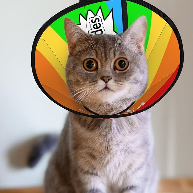 Custom Pet Cone Collar Lick Prevention Pet Recovery Collar for Neuter Safety Elizabethan Collar-PawvioPets