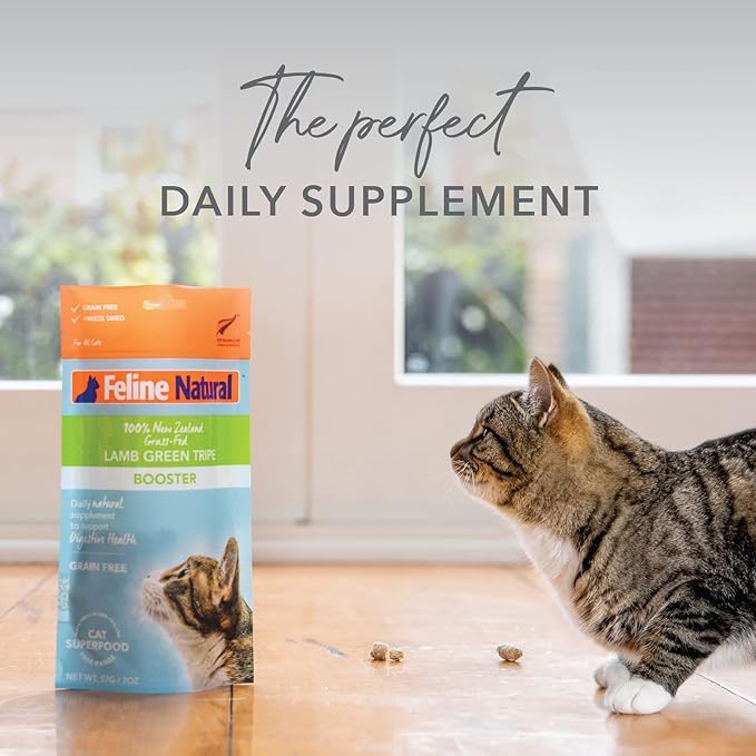 Feline Natural Freeze Dried Lamb Green Tripe Cat Food Supplement - Grain-Free High Protein Natural Topper - 2 Oz Grass Fed Beef Freeze Dried Cat Treats-PawvioPets