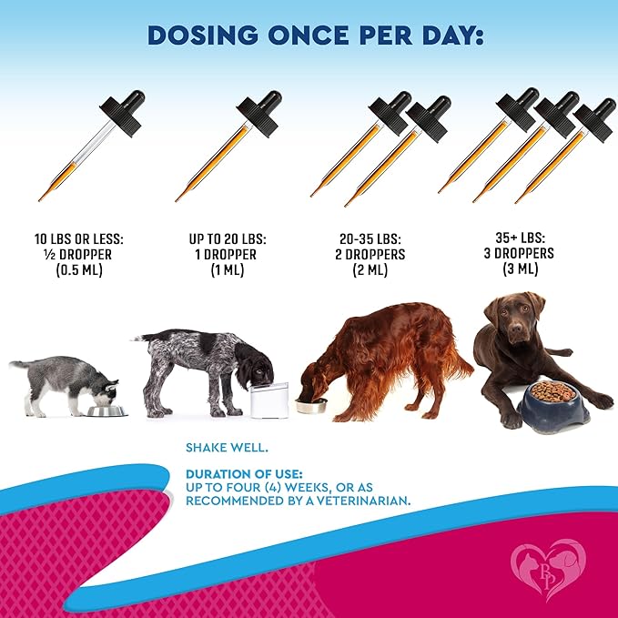 Beloved Pets Cat & Dog Urinary Tract Infection Treatment & Natural UTI Medicine Cranberry-Kidney+Bladder Support Supplement - Best Prevention Incontinence, Bladder Stones-PawvioPets