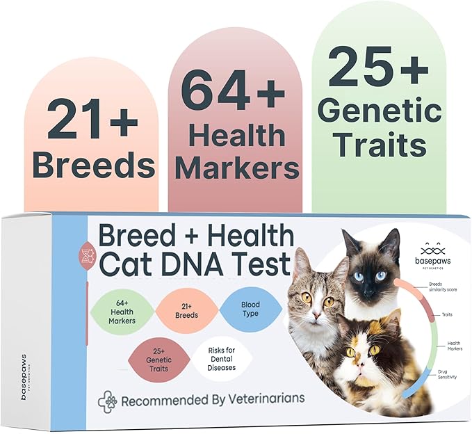 Basepaws Cat DNA Test Kit - Comprehensive Breed, Health and Dental Analysis Across 114 Traits for Accurate and Easy-to-Use Genetic Insights-PawvioPets