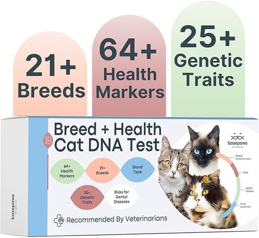 Basepaws Cat DNA Test Kit - Comprehensive Breed, Health and Dental Analysis Across 114 Traits for Accurate and Easy-to-Use Genetic Insights-PawvioPets