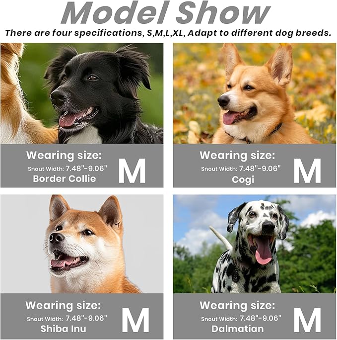 Dog Muzzle, Basket Muzzle for Small Medium Large Dogs, Anti-Biting and Chewing, Lightweight & Sturdy Cage Design, Allows Panting & Drinking, Ideal for Grooming & Training(Black Size M)-PawvioPets