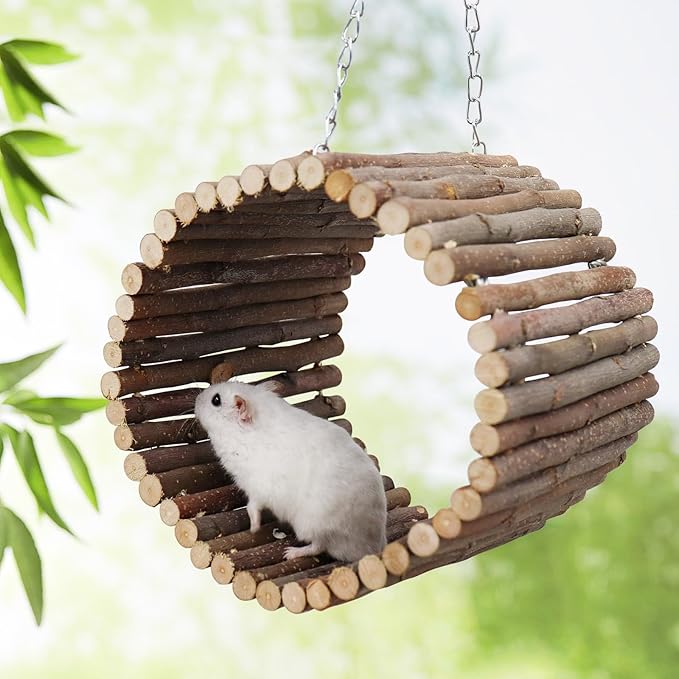 Bird Parrot Swing Toys, Hanging Bird Tree Caves, Natural Apple Wood Parrot Hammock, Bird Cage Accessories, Suitable for Little Bird Parakeets Cockatiels Lovebirds Hamster Rat (6.49" in Diameter)-PawvioPets