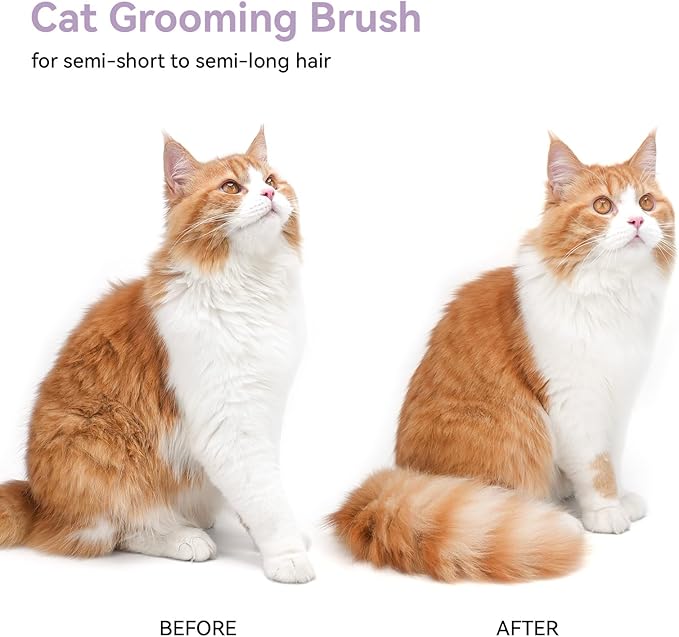 aumuca Cat and Dog Grooming Brush for Shedding, Removes Loose Fur from Long or Short Haired Pets - Ideal for Cats, Kittens, Rabbits, and More - Purple-PawvioPets