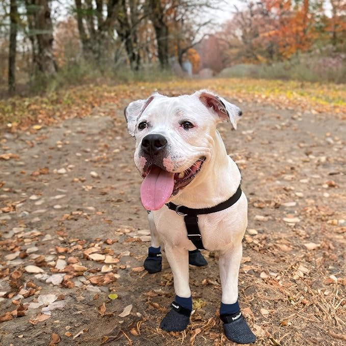 Double Dipped Thick Textured Waterproof Cotton Dog Socks | PawFlex Comfy Pawz Soft Indoor/Outdoor Pet Booties | Non-Slip Silicone Grip at Inner Wrist for No Twisting or Sliding Off| Adjustable Strap-PawvioPets