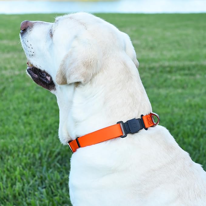 Dogline Biothane Waterproof Dog Collar with Herm Sprenger Black Stainless Steel Quick Release Buckle – Heavy Duty Tactical Durable Collar for Dogs – Comfortable and Safe Pet Collar W1 L 15-25" Orange-PawvioPets