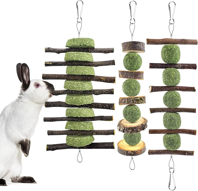 ERKOON Bunny Chew Toys, Rabbit Chew Toys for Teeth Grinding, Improve Dental Health, 100% Natural Apple Wood Timothy Grass Cake Treats for Rabbits Guinea Pigs Chinchillas Bunnies Hamsters (3 Pcs)-PawvioPets