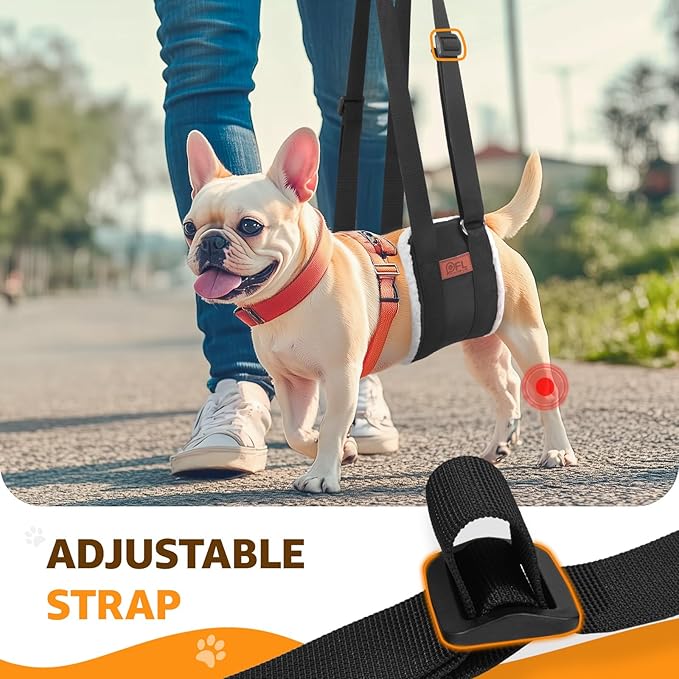 Adjustable Dog Lift Harness, Dog Sling for Large Dogs Lift Support and Rehab Harness for Weak Rear Legs, Soft Hind Leg Support Helps Senior, Injured, Disabled and After ACL Surgery Dogs(Black,Small)-PawvioPets