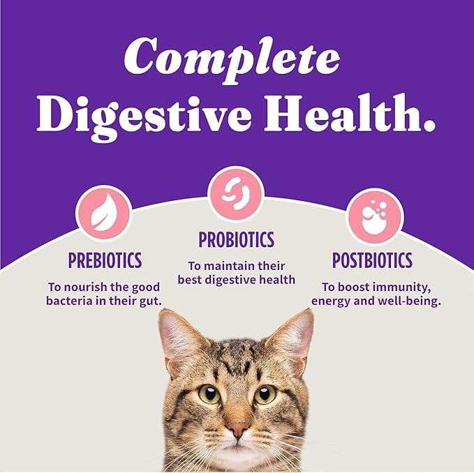Halo Holistic Cat Food Wild Caught Salmon & Whitefish Formula, Healthy Grains Dry Cat Food, Complete Digestive Health, Kibble for Adult Cats, 10 lb Bag-PawvioPets