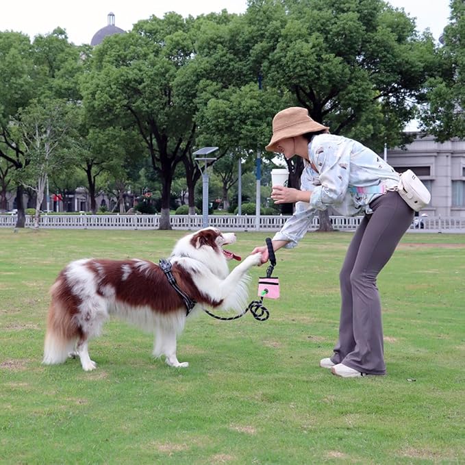 COOWONE Dog Treat Pouch with Pet Training Clicker, Detachable Dog Puppy Training Treat Bag, 900D Oxford Cloth Magnetic Closure Small Dog Walking Bag for Travel or Outdoor Use-PawvioPets