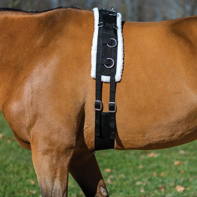 Dura-Tech Fleece Lined Training Surcingle for Horses | Essential for Lunging Work | Comfortable Fleece Lining | Durable Poly Material | Versatile D-Ring Placement | Suitable for All Training Levels-PawvioPets