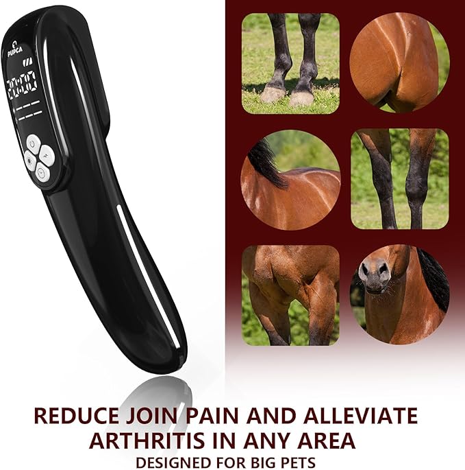 Cold Laser Therapy Device for Horse, Portable Red Light Therapy with 4pcs 808nm and 12pcs 650nm, Near Infrared Laser for Arthritis Pain Relief- Electrical Stimulation for Tendon, and Ligament Recover-PawvioPets