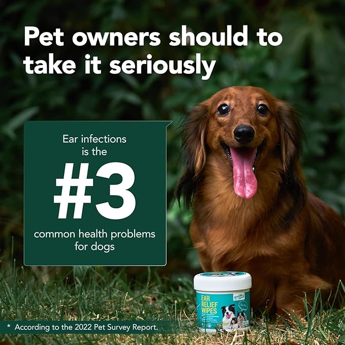 Dog Ear Cleaner Wipes - Dog Ear Infection Treatment Fast Relief from Ear Itching and Inflammation, Cat Ear Wipes Gently Remove Ear Wax Debris and Smelly (100 Pcs, Unscented)-PawvioPets