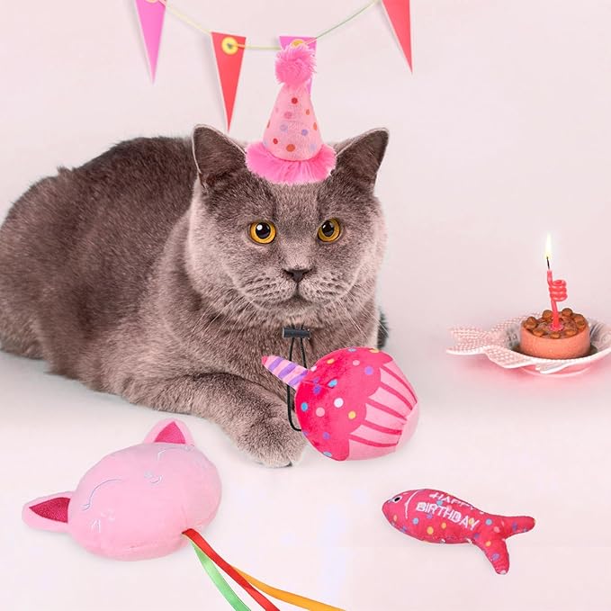 BINGPET Catnip Toys for Indoor Cats, Cat Birthday Hat and Interactive Plush Kitten Chew Toys - Cute Cake, Fish, Balloon Toys with Crinkle Paper and Catnip Inside Pink-PawvioPets