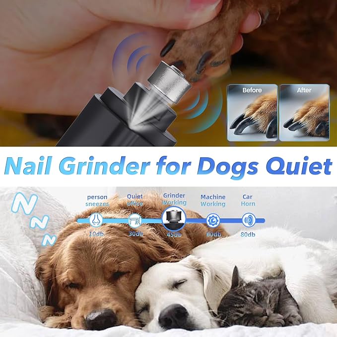 2 in 1 Dog Nail Clippers and Grinder with Lights & Cat Nail Clipper for Large Medium Small Dogs Cats Nail Trimmers USB Rechargeable with 2 LED Lights Dog Claw Care for Non-Black Nails-PawvioPets