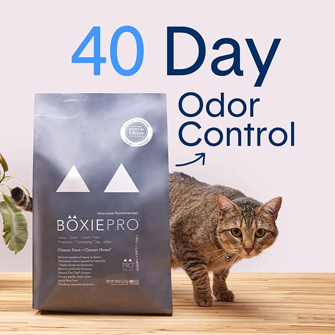 Boxie® Probiotic 40 Day Natural Odor Control Cat Litter, 16lb Clumping Clay Kitty Litter (Pack of 2)-PawvioPets