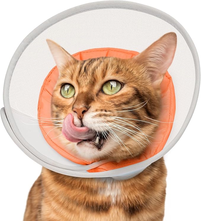 Cat Cone Collar Soft: Comfortable Waterproof Mesh Recovery Cone After Surgery to Stop Licking and Scratch, Alternative to Plastic Elizabeth Head/Neck Cone for Large Cats and Small Dogs-PawvioPets