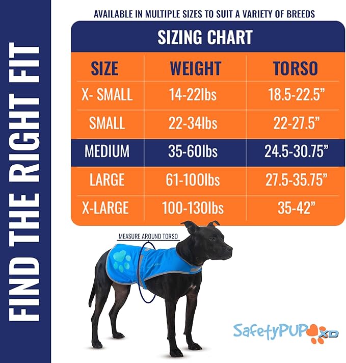 Dog Reflective Vest – Hi-Vis Fluorescent Visibility That Helps to Safeguard Your Pet On/Off Leash in Urban & Rural Areas (Blue, Medium)-PawvioPets