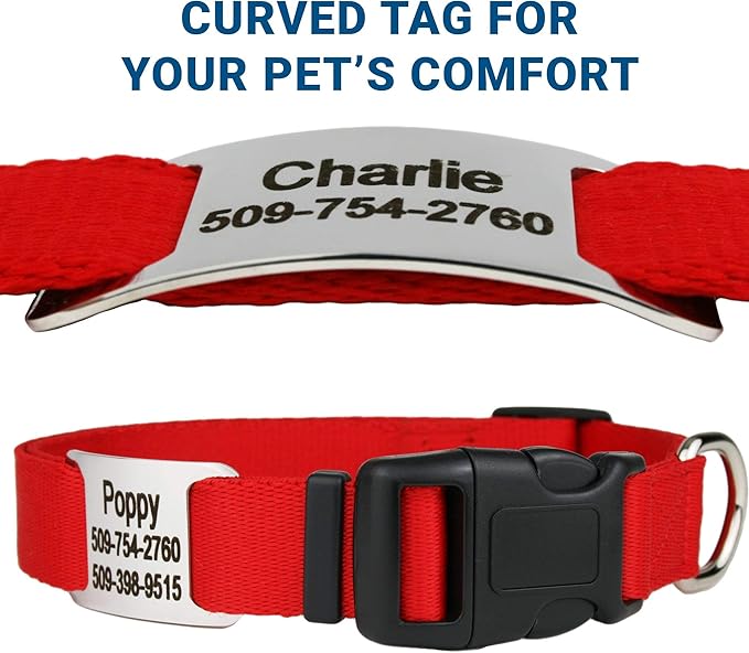 GoTags Personalized Dog Collar with Nameplate, Adjustable Dog Collar with Custom Engraved Slide On Pet ID Tag in Stainless Steel, Silent, No Noise Dog Tag for Large Medium and Small (Red, X-Small)-PawvioPets
