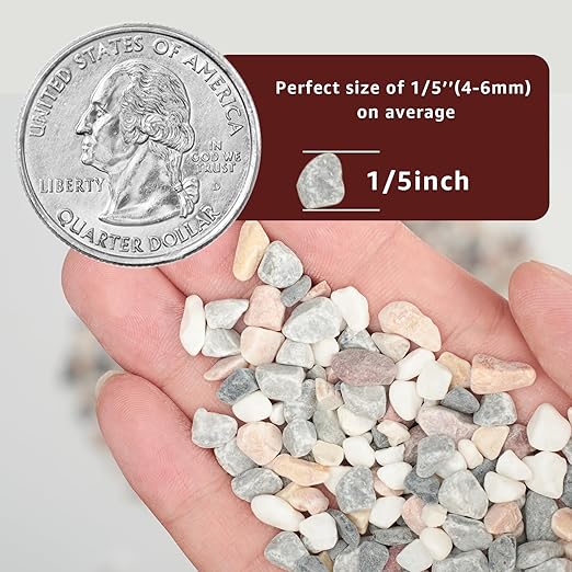 5lbs Natural Gravel Pebbles for Succulents and Cacti, 1/5 Inch Decorative River Stones – Perfect for Vases, Aquariums, Terrariums, and Outdoor Gardening, Mixed Colors (Mixed, 5 Pounds)-PawvioPets