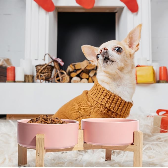 Elevated Ceramic Dog Bowl Set - Raised Feeding Bowls with Non-Slip Bamboo Stand - Small Pet Dishes for Food and Water - Ideal for Cats and Puppies - 16.23 OZ - 2 Cups - 480 ML-PawvioPets