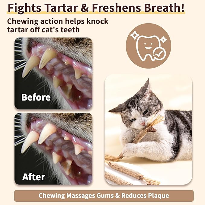 6 Pack Silvervine Cat Chew Toys, Natural Dental Sticks for Indoor Cats, Kittens Teeth Cleaning, Catnip Alternative, Interactive Play, Yellow-PawvioPets