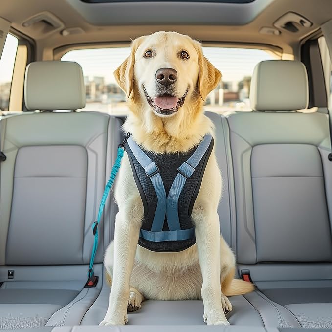 3 Pack Thickened Adjustable Dog Car Harness, Retractable Dog Car Harness Adjustable Dog Seat Belt for Car, Dog Car Leash Made of Thickened Nylon Material and Reinforced Metal Hook, Light Blue-PawvioPets