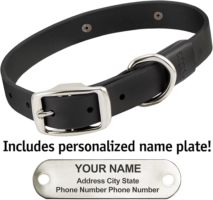Biothane Custom Dog Collar – Waterproof, Stink-Proof Personalized Collar with Name & Phone Number – Durable, Many Sizes and Colors – Assembled in USA (Black)-PawvioPets