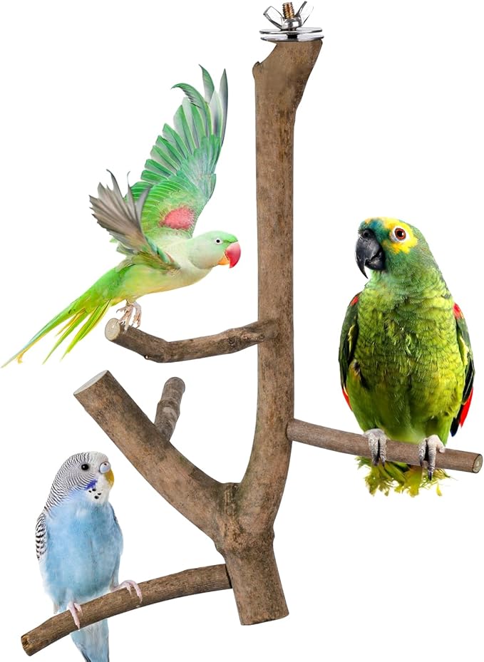 Bird Perch Stand, Natural Vitex Negundo Wood Parrot Perch Bird Cage Branch Perch, Accessories for Parakeets, Cockatiels, Conures, Macaws, Finches, LoveBirds (12" Length)-PawvioPets