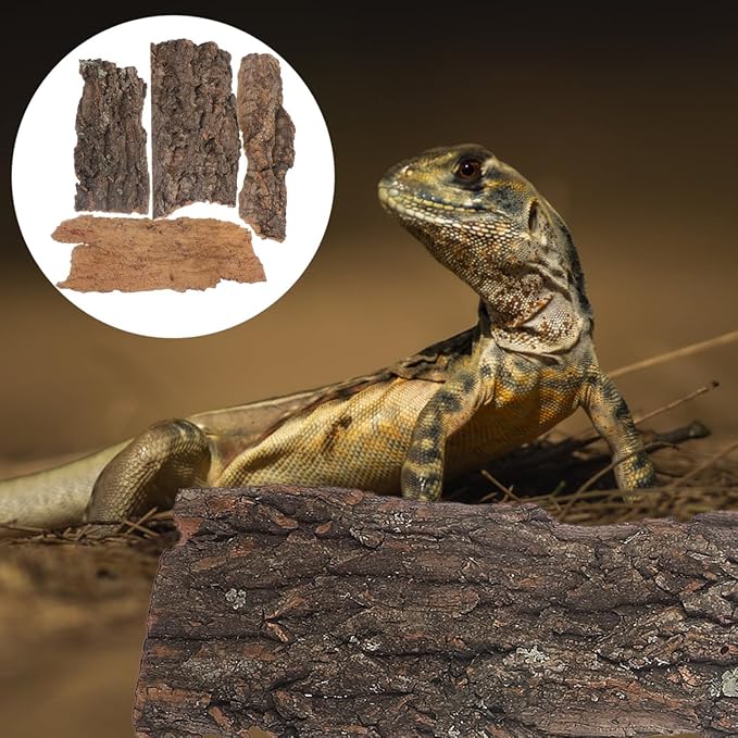 Amosfun 4pcs Reptile Bark Cork Wood Bark Decor Cork Flat Bedding for Bearded Dragon Lizard Geckos Tortoise, Random Size 3.2 to 5.5Inch-PawvioPets